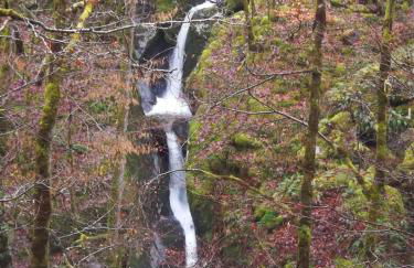 La appartement des rosiers - Photo 23