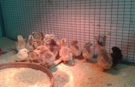 Casa Vacanze La Meridiana - Foto 15