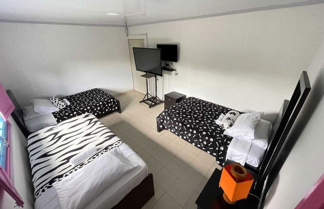 finca el arrullo - Photo 8