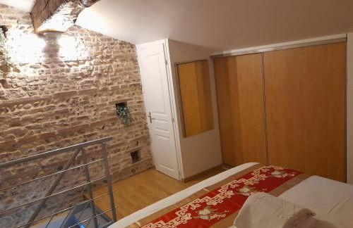 T2 Charmant duplex independant Blagnac - Photo 13