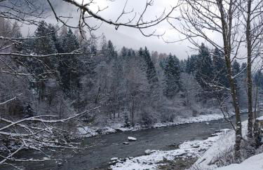 Appartamento Al Brenz - Foto 40