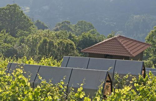 Cimo da Vinha - Nature Spot - Foto 18