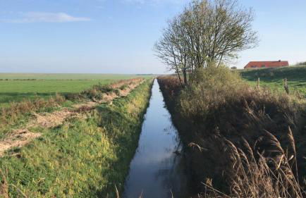 Ferienwohnung Gulfhof Siebelshörn - Photo 42