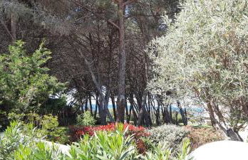 Piccula Casa - Foto 25