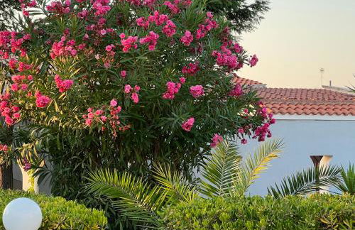 Casa Flavia - Foto 17