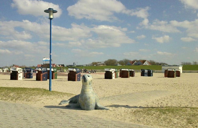 Dyke Space 50 m to the Beach sea - Foto 12