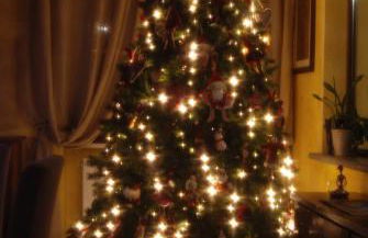 Due Miglia - Foto 45