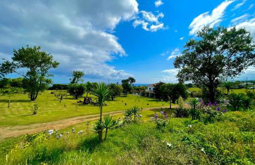 Solar Pontes - Photo 51