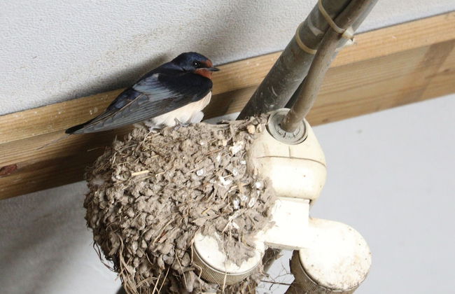 Cozy Vacation Home With Terrace - Photo 27