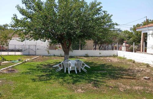 Vasilikis House - Foto 10