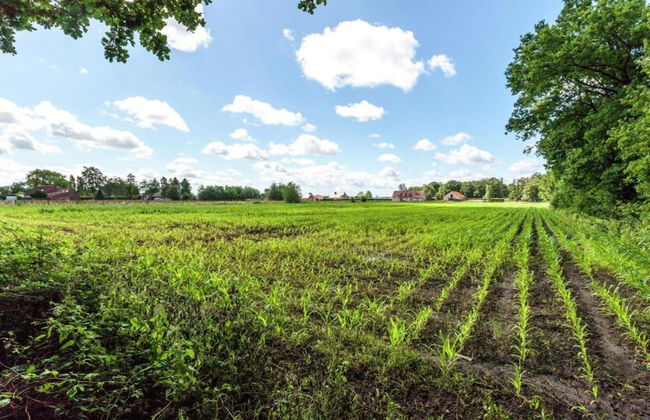 Family Home With Garden - Photo 31