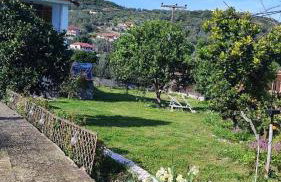 Bee Hive's Country House - Foto 23