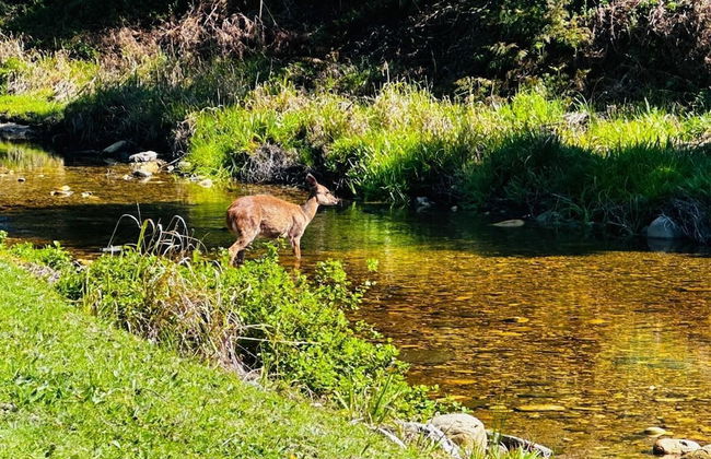 Amazing Riverside Retreat With Hot Tub & Ecopool - Foto 14