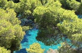 Frontview Sea Vista - Photo 49