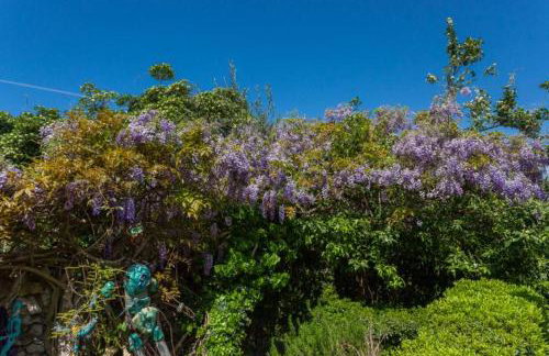 Apartment Luna i Lucky - Foto 52