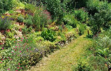 Ferienwohnung Klug - Photo 31