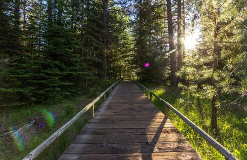 Mid Century Lodge - Foto 33