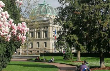 Strasbourg Pont de l'Europe - Foto 13
