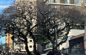 Charming Loft Studio Apartment in Poa com Garden - Foto 60