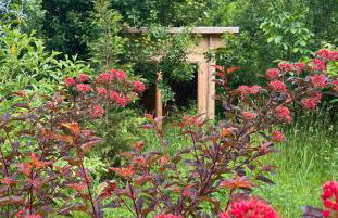 Haus 8 am Grimnitzsee mit Sauna - Photo 9