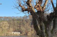 Cottage MaarBurg - Photo 18