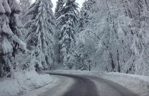 Apartament Orlik - Foto 22