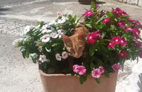 Agriturismo Laire Masseria - Foto 8