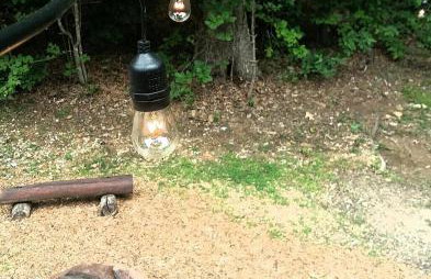 The Bird House near Fall Creek Falls State Park - Foto 76