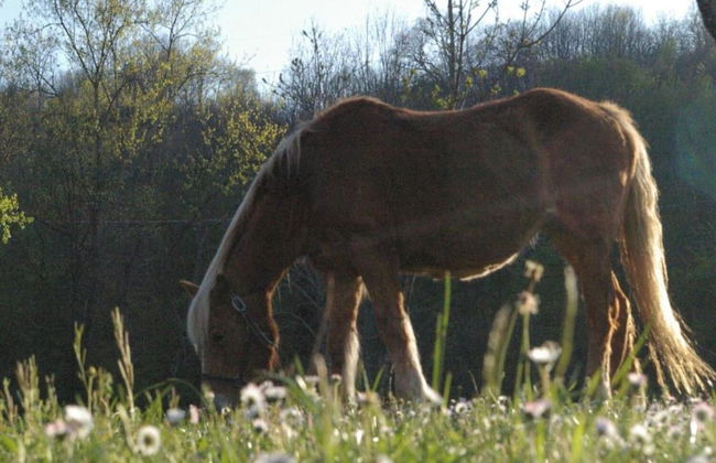 Belvilla by OYO Argilla 3 - Foto 28