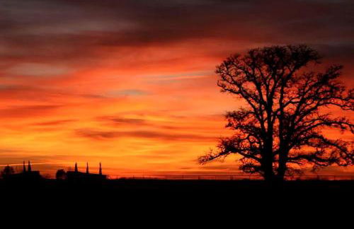 Pet-Friendly Accommodation on a Ranch in McDade, Texas - Foto 10