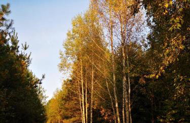 Domki pod mazurskim niebem - Foto 15