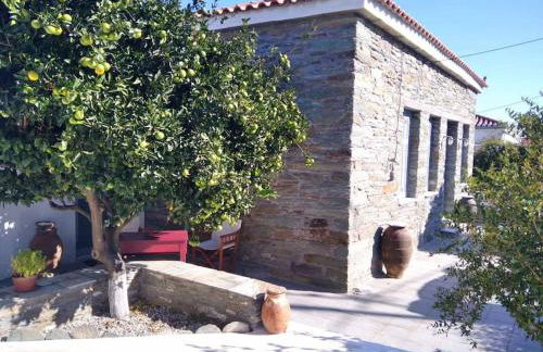 Το πέτρινο, Άνδρος,Μεσαριά - Foto 6