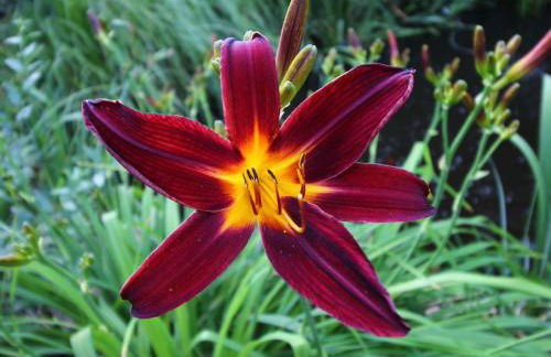 Apartment Paradies by Interhome - Foto 22