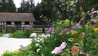 Ferienwohnung Hubner - Photo 3