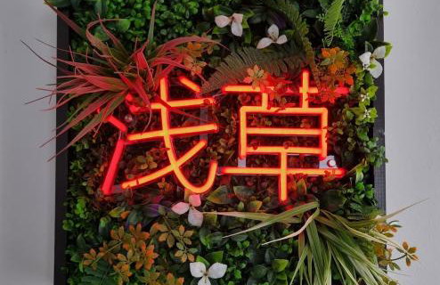 T2 Asakusa - Casseaux - Bords de Vienne - Limoges - Photo 15