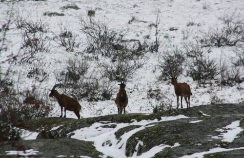 Refugio das Terras Altas - Foto 35