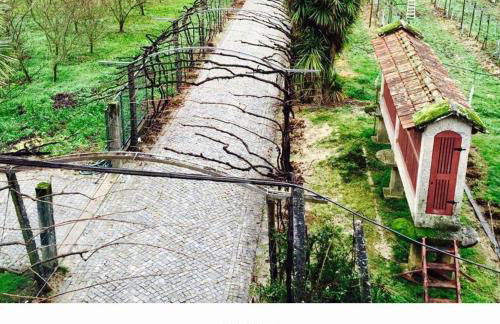 Quinta de Maderne - Foto 57