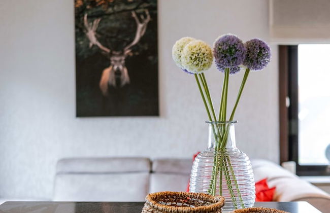 BE OST Jose 1A in Oostende - Photo 8