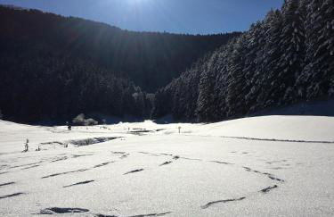 Gite Du Montagnol A Payolle - Foto 11