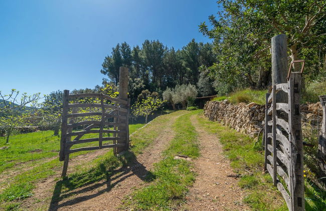 Can Pe es in Puerto de Andratx - Foto 8