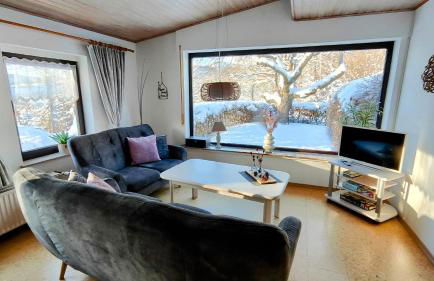 Sauerland Alm Winterberg 5 - Foto 10