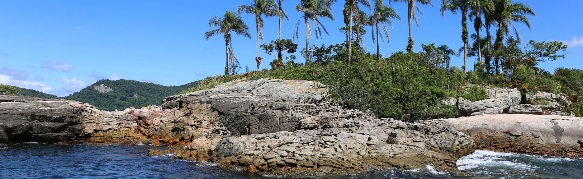 Ilhas Botinas Boat Trip + Angra dos Reis Beaches