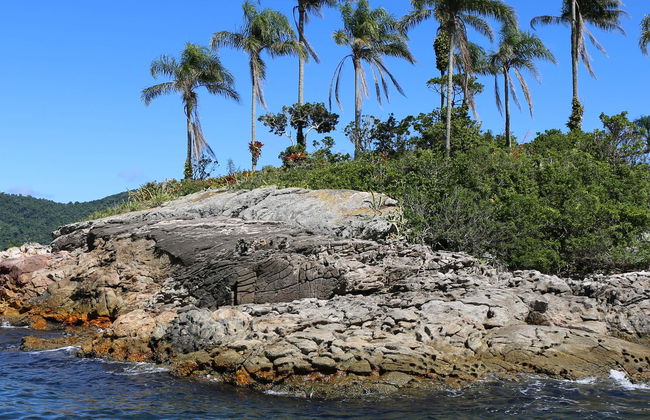 Giro in barca alle Ilhas Botinas + Spiagge di Angra dos Reis - Foto 1