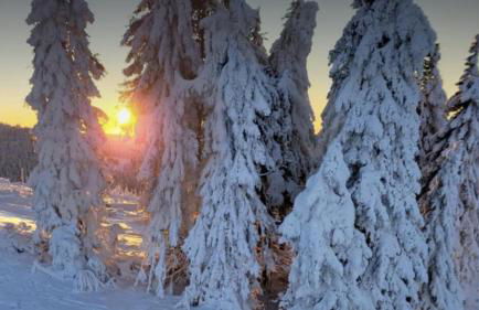 FEWO Jäger - Foto 45