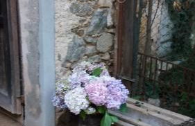 Agriturismo Oro di Berta - Foto 29