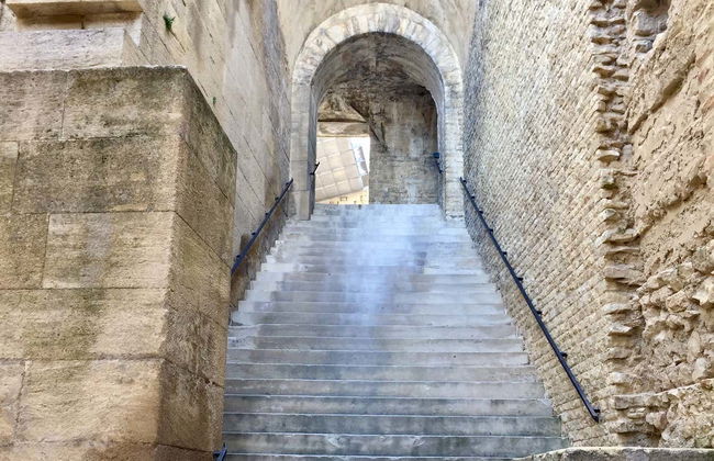 Teatro romano, Arco del Triunfo y Museo de Arte y de Historia de Orange - Foto 2