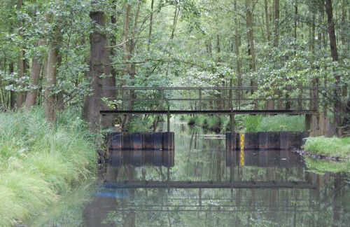 Ferienwohnung am Mühlstein - Foto 40