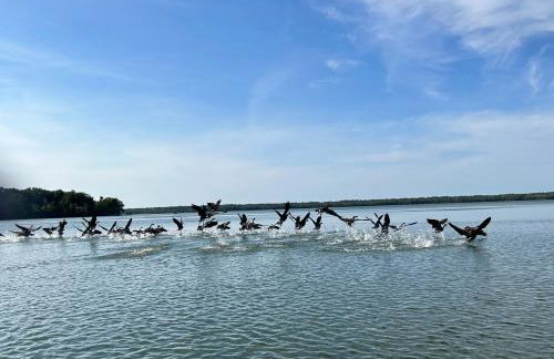 Lakefront! Twin Birch Resort - The Loon - Foto 46