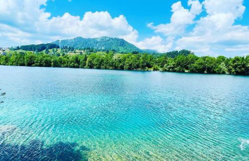 Ferienwohnung Almenrausch mit 110 m2 und sonniger Terrasse - Photo 40