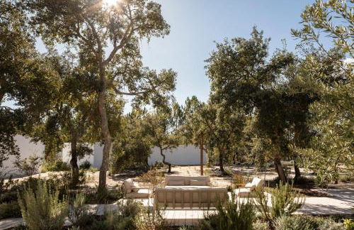 Deluxe Comporta Mundo - Foto 10